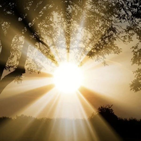 Lichttherapie: Wie funktioniert das "Heilen" mit Licht?