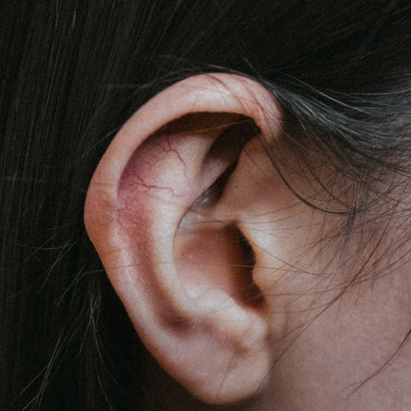 Magnetfeldanwendung bei Tinnitus und Schwindel