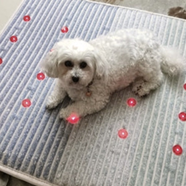 Tiere lieben die Kristallmatte