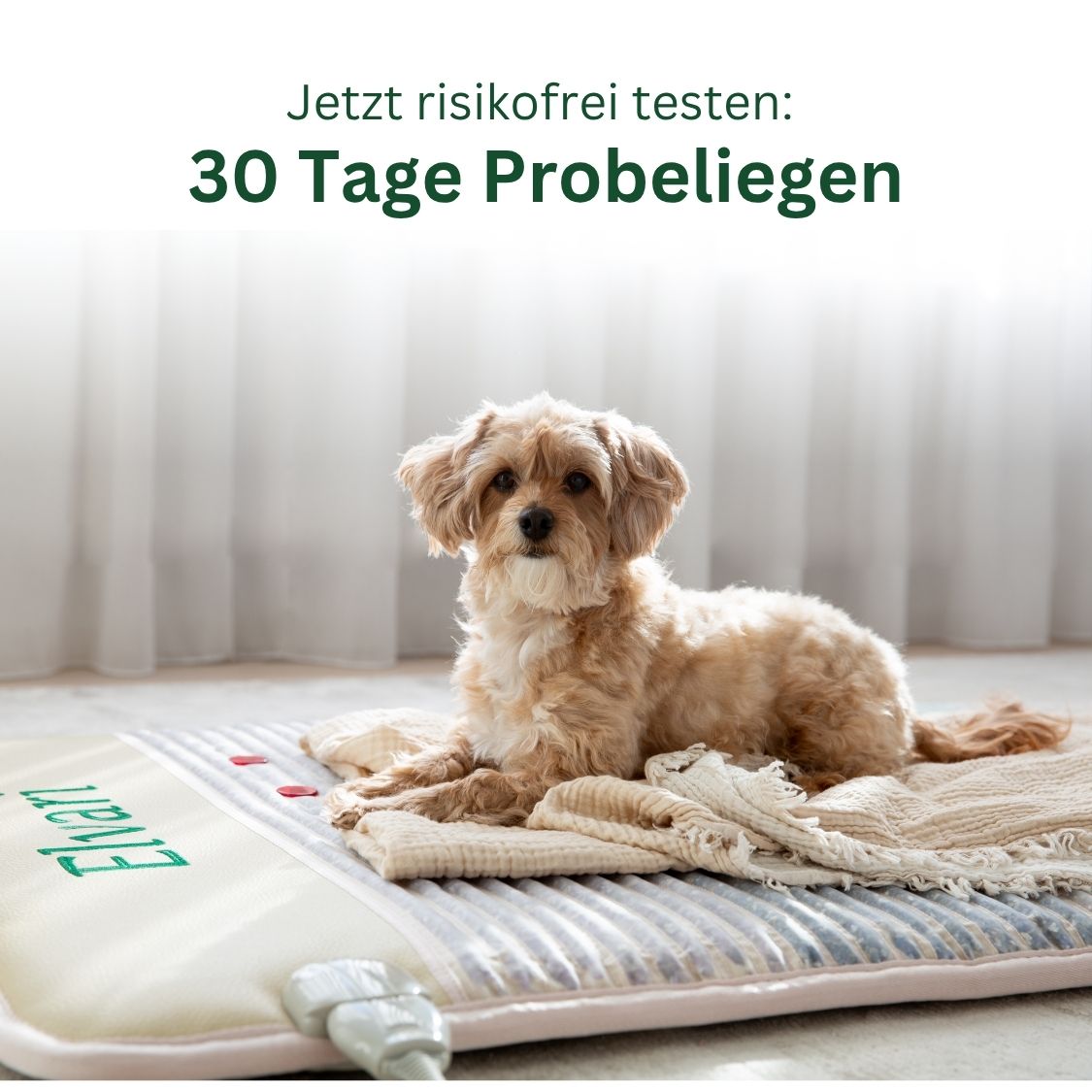 Elvari® Kristallmatte 2.0