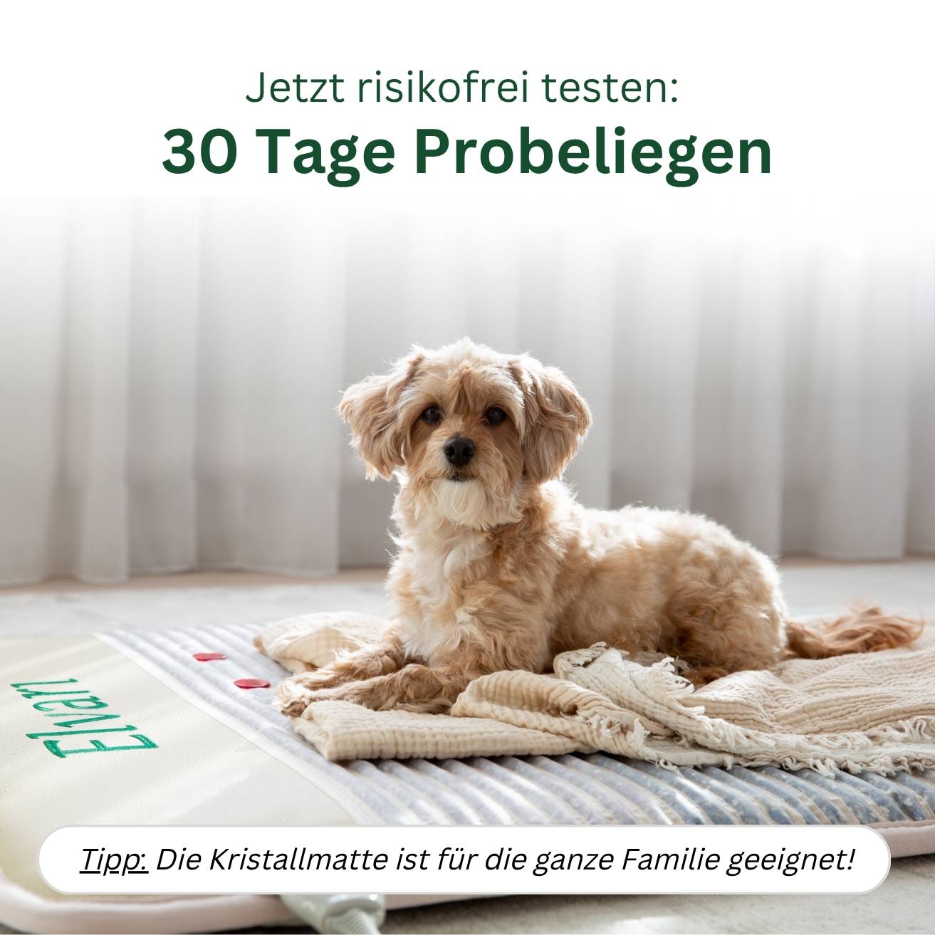 Elvari® Kristallmatte 2.0 – Deine Begleitung durch die Wechseljahre