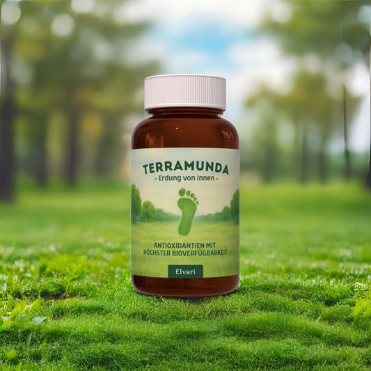 Elvari® Terramunda – Erdung von Innen